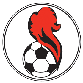 https://img.wxrwjx.com/img/football/team/5541e5015258ae82b121480f4164267d.png